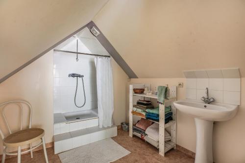 a bathroom with a shower and a sink at Chambre d'hôtes - La Gâtine in Rochecorbon