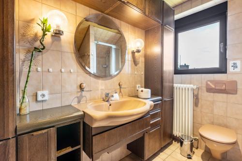 a bathroom with a sink and a mirror and a toilet at Ferienwohnung Cherine in Gailingen