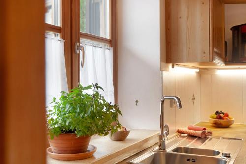a kitchen sink with a potted plant next to a window at Ferienwohnung Zugspitzblick in Grainau