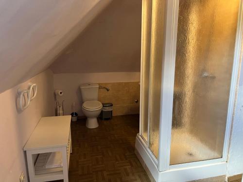 a bathroom with a toilet and a glass shower at Casa Rural Los Ciegos in Peguerinos