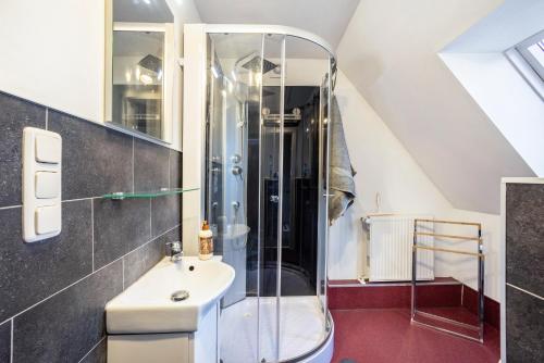 a bathroom with a shower and a sink at Haus Falk in Zarpen