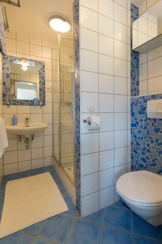 a bathroom with a toilet and a shower at Villa Müller Turmfalke in Ossiach