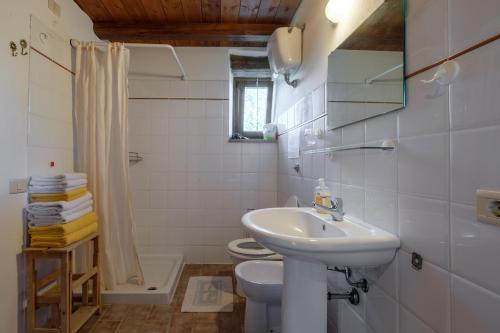a bathroom with a sink and a toilet at Stella Nord Podere Carbone in Grosseto