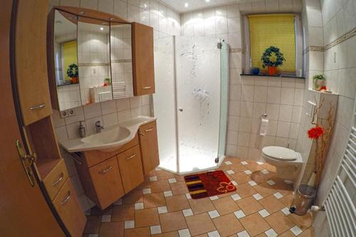 a bathroom with a shower and a sink and a toilet at Ferienbauernhof - Ferienwohnung 5 in Grünow