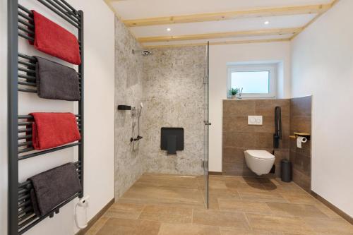 a bathroom with a shower and a toilet at Kapellenhof Ferienwohnungen in Triberg