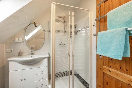 a bathroom with a shower and a sink at Ferienhaus 'am Aartalsee' in Ahrdt