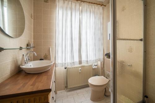 a bathroom with a sink and a toilet and a shower at Harzperle Wohnung Nr 6 in Braunlage