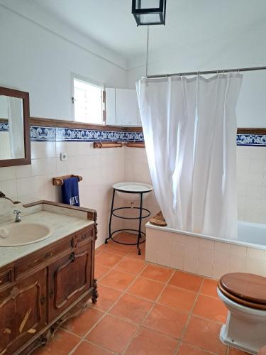 a bathroom with a sink and a toilet and a tub at Monte Horta da Velhinha in Redondo