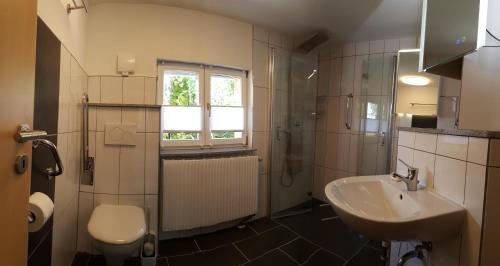 a bathroom with a sink and a toilet at Bodensee-Landurlaub in Deggenhausertal