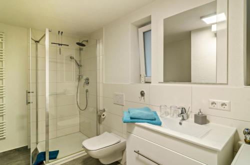 a bathroom with a shower and a sink and a toilet at Ferienwohnung Kunstmann in Überlingen