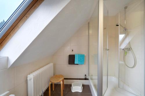 a bathroom with a shower and a toilet and a stool at Grundhof in Oberprechtal