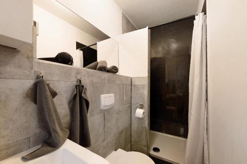 a bathroom with a toilet and a shower at Gemütliche Wohnung in Reimsbach in Beckingen