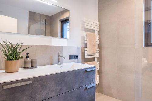 a bathroom with a sink and a shower at Falsers Mountain Lodge in Cornedo all'Isarco