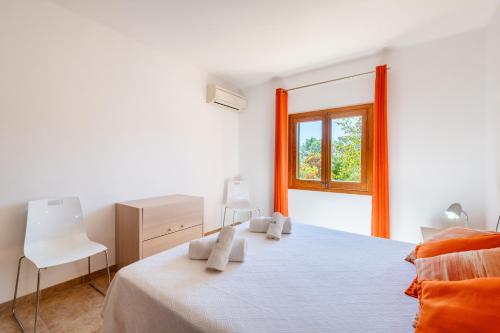 Finca Tirana