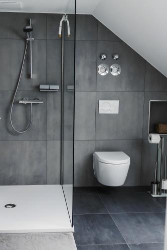 a bathroom with a shower and a toilet at Ferienwohnung Habichthorst in Naumburg
