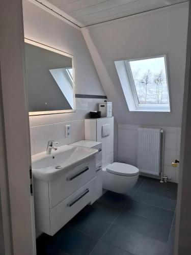 a bathroom with a sink and a toilet and a window at Ferienhaus Timeout in Friedrichskoog