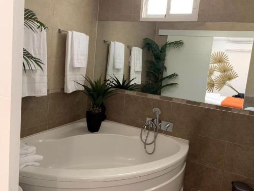 Casita Agave