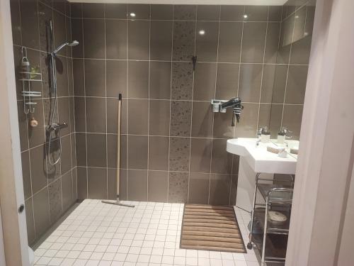 a bathroom with a shower and a sink at Au P'tit Venton - Maison Écologique in La Jaille-Yvon