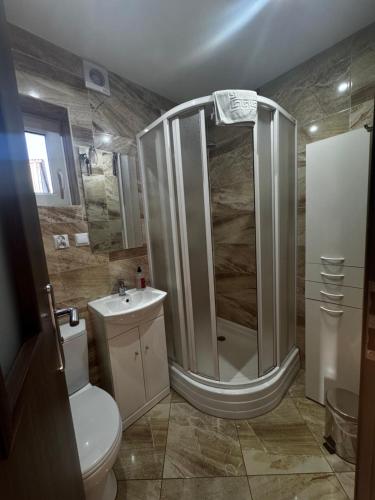 a bathroom with a shower and a toilet and a sink at Nocowanie w młynie in Niedzica