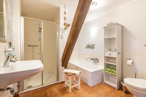 a bathroom with a shower and a sink and a toilet at Haevn-Erholung, Fewo Deichblick in Reußenköge