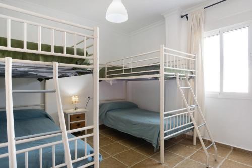 Adriatico 207