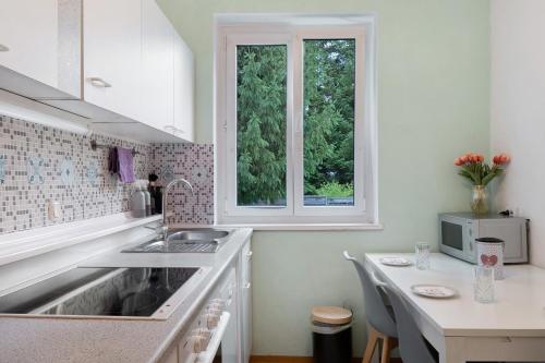 a white kitchen with a sink and two windows at Amselnest in Kempten