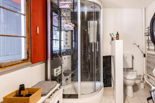 a glass shower in a bathroom with a toilet at Haus nähe Schweiz in Kandern