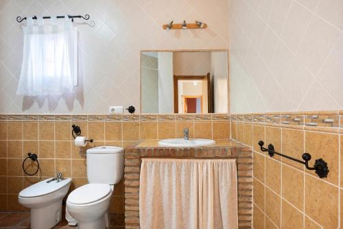 a bathroom with a toilet and a sink and a mirror at Casa Juana Zahora in Zahora