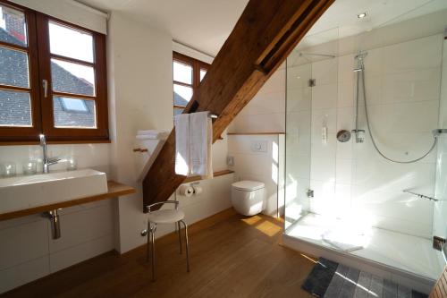 a bathroom with a shower and a sink and a toilet at Klostermeisterhaus in St. Blasien
