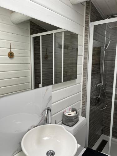a bathroom with a sink and a shower and a mirror at Le Numéro 12 - Chalet à Francorchamps in Malmedy