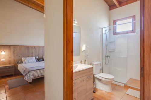 a bathroom with a toilet sink and a shower at Casa Quemahierro 2 in Icod de los Vinos