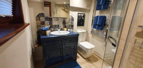 a bathroom with a sink and a shower and a toilet at Schatzkästchen am Bodensee in Öhningen