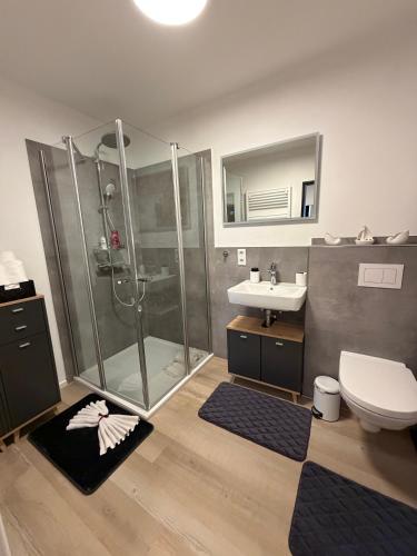 a bathroom with a shower and a toilet and a sink at Timos Ferienwohnung in Schmallenberg