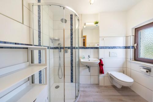 a bathroom with a shower and a toilet and a sink at Freundliche 50m² Ferienwohnung in Sonnenberg