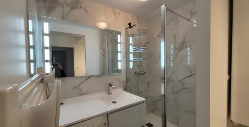 a bathroom with a sink and a shower with a mirror at Appartement T2 face à la mer in Saint-Vaast-la-Hougue
