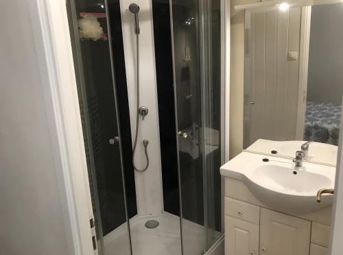 a bathroom with a shower and a sink at Le Gite Amical des Chiens in Penne-dʼAgenais