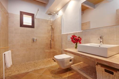 a bathroom with a sink and a toilet at Son Rossinyol Nou - Sa Bovera in Islas Baleares