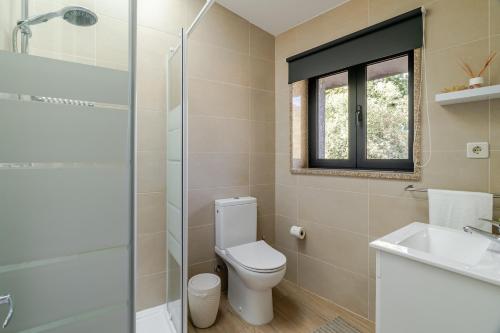 a bathroom with a toilet and a sink and a shower at Casa Real De Cima in Fervença