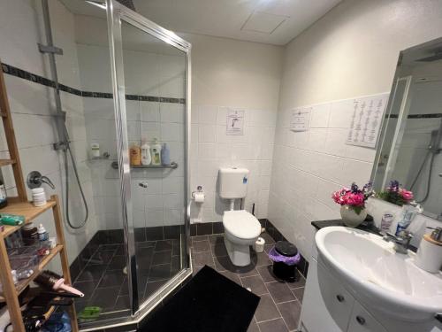 a bathroom with a shower and a toilet and a sink at The Castle in Castle Hill