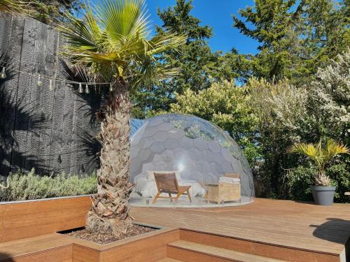 a dome house with a chair and a palm tree at La Saint Pabu'lle in Pléneuf-Val-André