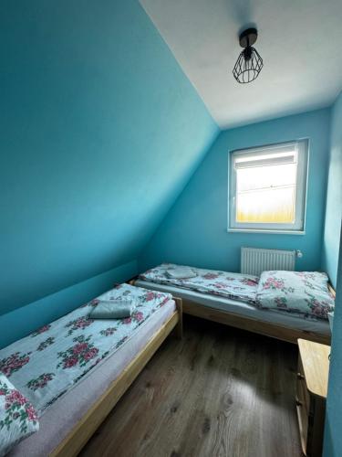 two beds in a room with blue walls and a window at Nocowanie w młynie in Niedzica