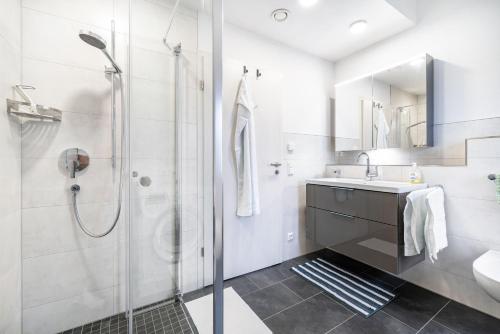 a bathroom with a shower and a sink at Ferienwohnung Schatz in Albstadt