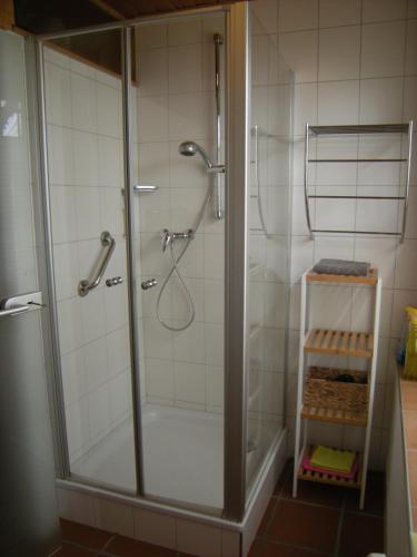 a shower with a glass door in a bathroom at Rhön-Antik in Dipperz
