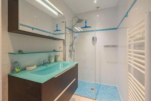 un baño con lavabo y ducha en Ile Madame, en Saint-Simon-de-Bordes