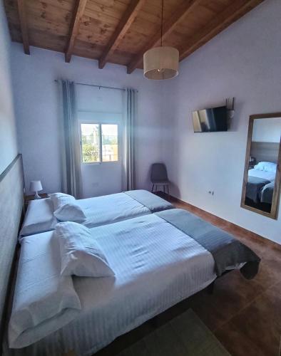 a bedroom with a large bed and a mirror at Casas Quemahierro in Icod de los Vinos