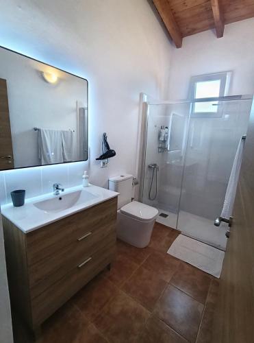 a bathroom with a shower and a toilet and a sink at Casas Quemahierro in Icod de los Vinos