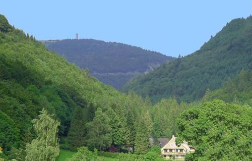 a house in the middle of a valley with mountains at Haus Maria in Todtnau