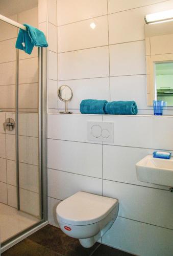 a bathroom with a toilet and a sink and a shower at Obst- und Ferienhof Schäfler in Hattnau