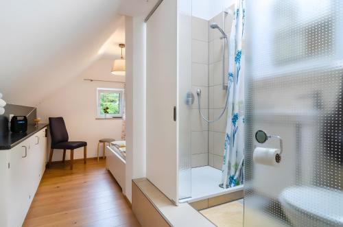 a bathroom with a shower and a sink at Kleines Zimmer am See in Bodman-Ludwigshafen