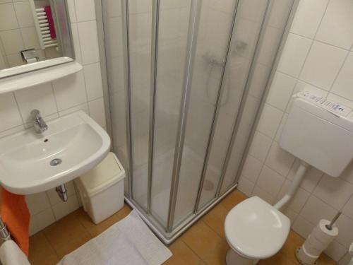 a bathroom with a shower and a toilet and a sink at Kuryhof in Simonswald